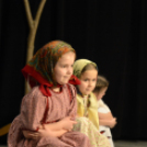 Mulatság a farsang farkán