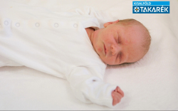 Szarka-Bella Nándor, Darnózseli