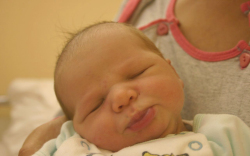 Németh Nimród Attila, Mosonmagyaróvár