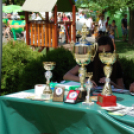 Sport és Egészségnap