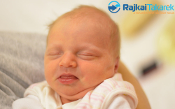 Matkovits Panna, 2800 gr. Halászi