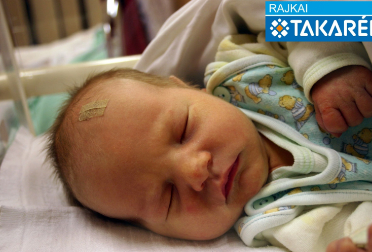 Földes Olivér Tamás, Mosonmagyaróvár