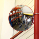 Kőrisfacsemetéket ültettek a diákok a Nolato Magyarország Kft telephelyén