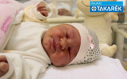 Karácsony Szofi, Mosonmagyaróvár