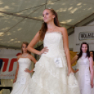 Szigetköz ízei, vármegye borai fesztivál / VÁRMEGYE SZÉPE - VÁRMEGYE HANGJA (Fotó: Horváth Attila)