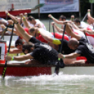 Voluta 2 nap (Fotó: Stipkovits Veronika és Bánhegyi István)