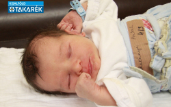 Radványi Antal, Mosonmagyaróvár