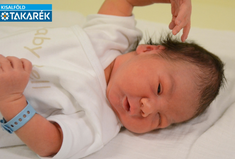 Koltai Nimród, Csorna