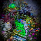 Apró kezek, Csodakertek - IX. Gyermek Kertépítő Verseny