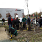 Kőrisfacsemetéket ültettek a diákok a Nolato Magyarország Kft telephelyén