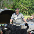 CAC kutyakiállítás (Fotó: Nagy Mária)