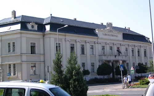 Bírósági ülnökök választása Mosonmagyaróváron