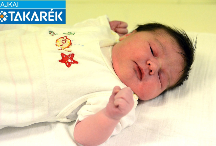 Bodó Mirella Zselyke, Mosonmagyaróvár