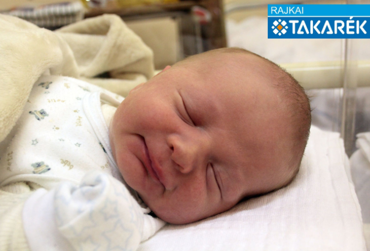 Fodor Benjámin, Osli