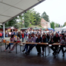 Szigetköz ízei, vármegye borai fesztivál / Pink Floyd Emlékzenekar koncertje (Fotó: Horváth Attila)