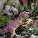 VI. Apró kezek, Csodakertek Gyermek Kertépítő verseny (Fotó: Bánhegyi István)