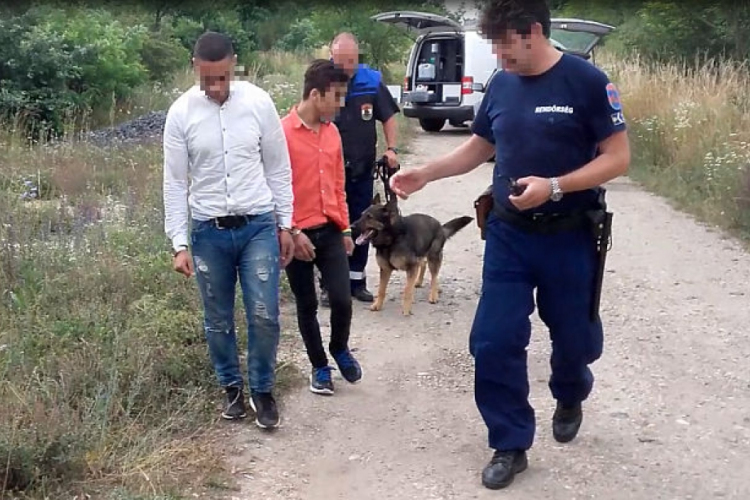 Embercsempészt fogtak el Hegyeshalomnál 