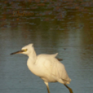 Tilai Gergely - Kerekesszéktől az önálló fotókiállításig