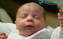 Polreisz Péter Márton, 3520 gr. Mosonmagyar