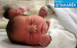 Szaló Rozina, Halászi