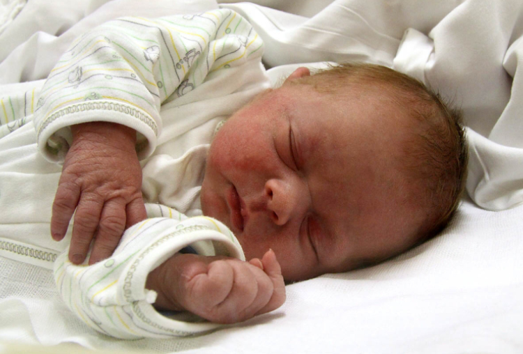 Sebestyén Csongor, Kisbodak