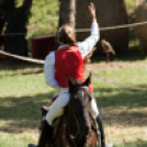 XII. Szigetköz ízei, Vármegye borai Fesztivál 2. nap