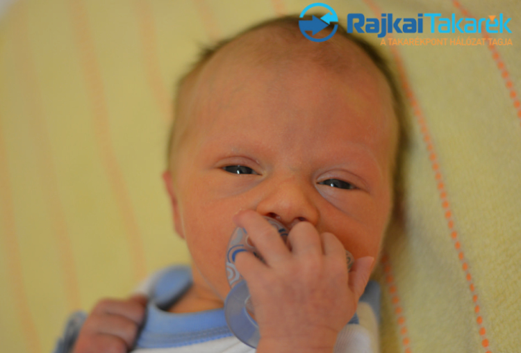 Bogár Bálint, Mosonmagyaróvár