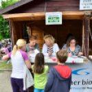 XII. Greiner Szigetköz Minimaraton (Fotó: Horváth Attila)