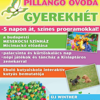 Az Ebuló Kutyaiskola interaktív kutyás bemutatója a Pillangó óvodában (Fotó: Stipkovits Veronika)