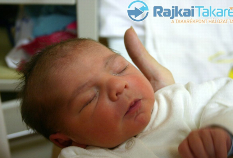 Balogh Dávid, Mosonmagyaróvár