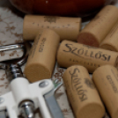 Márton-nap a múzeumban (fotó: Horváth Attila)