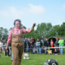 CAC kutyakiállítás (Fotó: Nagy Mária)