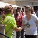 Apró kezek, Csodakertek - IX. Gyermek Kertépítő Verseny