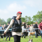 CAC kutyakiállítás (Fotó: Nagy Mária)