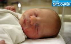 Szentkatolnai Dominik, Csorna