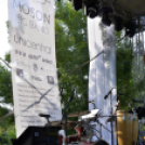 Tiszta Amerika - Vár-tó party