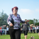 CAC kutyakiállítás (Fotó: Nagy Mária)