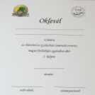 Ujhelyi Imre Általános Iskola - Életvitel és Gyakorlati ismeretek verseny megyei fordulója