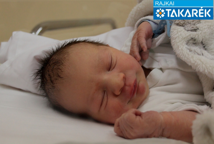 Magyarics Nimród, Lipót