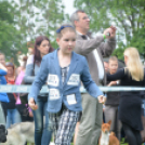 CAC kutyakiállítás (Fotó: Nagy Mária)