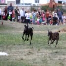 XI. Szigetköz ízei, Vármegye borai Fesztivál 3. nap 