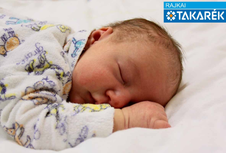 Gál Zétény, Mosonmagyaróvár