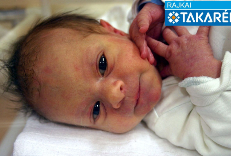 Pingicer Gergő, Mosonmagyaróvár