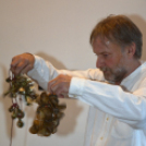 Lengyel-Magyar Nap a Hansági Múzeumban