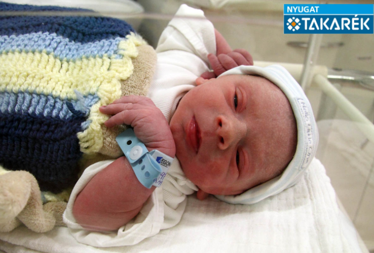 Lengyel Ármin, Hegyeshalom