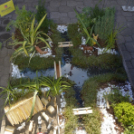 VII. Apró kezek, csodakertek Gyermek Kertépítő verseny