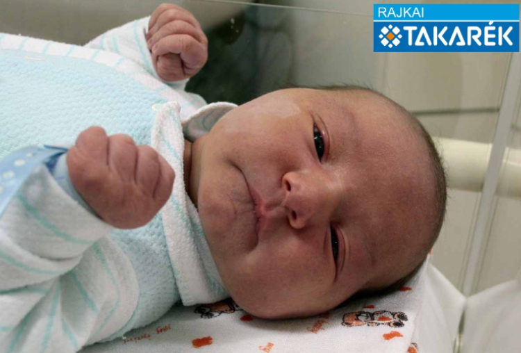 Bárdi Kristóf, Halászi