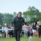 CAC kutyakiállítás (Fotó: Nagy Mária)