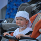 KULT - UTCA Hobbi nap (Fotó: Nagy Mária)