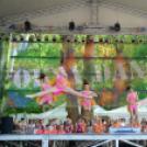 Városi Majális 2014. Délután 